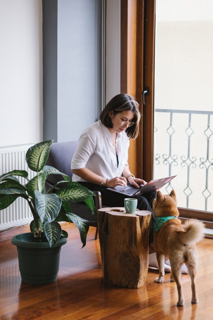 Focused young female in white shirt working on netbook near curious Shiba Inu dog wearing scarf on neck in light modern living room