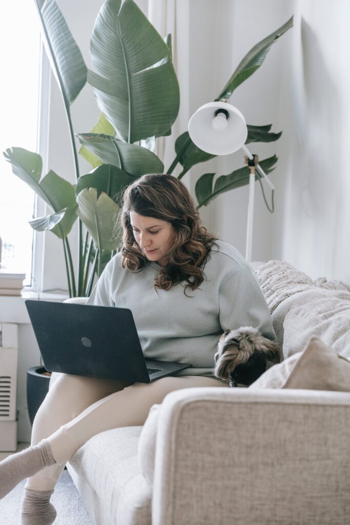 Concentrated young female freelancer in comfy outfit sitting on sofa and working remotely on laptop near cute Yorkshire Terrier dog at home